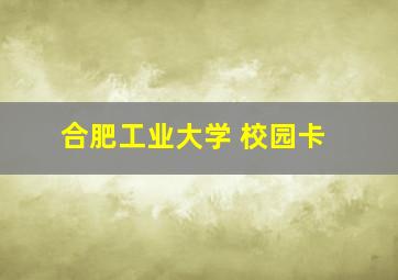 合肥工业大学 校园卡